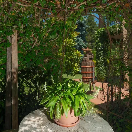 Cozy In Serrapetrona